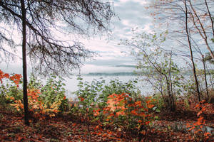 Algonquin Park Fall Desktop Wallpaper