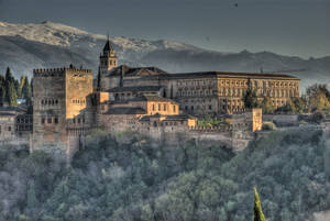 Alhambra Grayish Trees Wallpaper