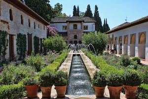 Alhambra Potted Plants Wallpaper