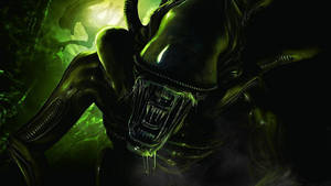 Alien 1979 Sci-fi Horror Movie Wallpaper