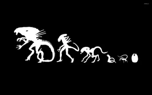 Alien Evolution Wallpaper