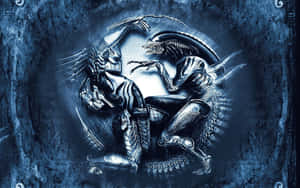 Alien Vs Predator Celtic And Grid Metal Plate Wallpaper