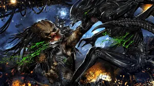 Alien Vs Predator Celtic Punching Grid Wallpaper