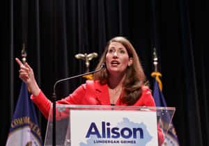 Alison Lundergan Grimes Banner Wallpaper