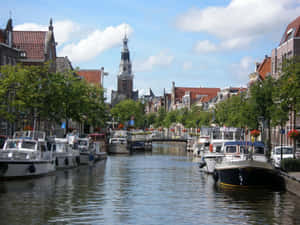 Alkmaar Canal Viewwith Boatsand Tower Wallpaper