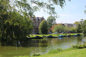 Alkmaar Canal Viewwith Boatsand Trees Wallpaper