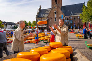 Alkmaar Cheese Market Tradition Wallpaper