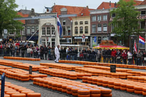 Alkmaar Cheese Market Wallpaper