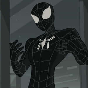 All-black Cartoon Spiderman Pfp Wallpaper