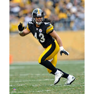 All-pro Pittsburgh Steeler Safety Troy Polamalu In Action Wallpaper