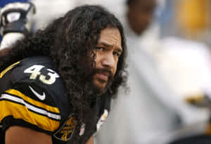 All-pro Safety Troy Polamalu Wallpaper