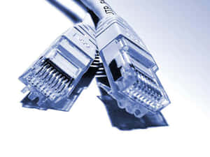 All That You Need To Know About Ethernet Wallpaper