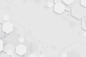 All White Hexagon Background Wallpaper