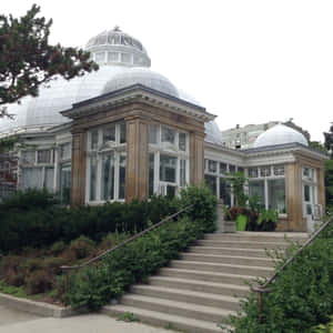 Allan Gardens Conservatory Exterior Wallpaper