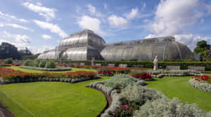 Allan Gardens Conservatory Exterior Wallpaper