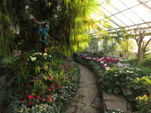 Allan Gardens Conservatory Pathway Wallpaper