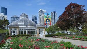 Allan Gardens Conservatory Springtime Wallpaper