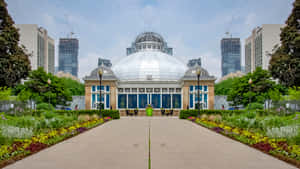 Allan Gardens Conservatory Toronto Wallpaper