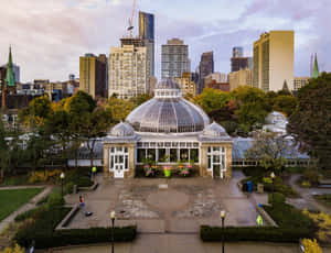 Allan Gardens Conservatory Toronto Wallpaper