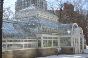 Allan Gardens Conservatory Winter Exterior Wallpaper