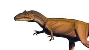 Allosaurus Dinosaur Illustration Wallpaper