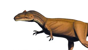 Allosaurus Dinosaur Illustration Wallpaper