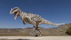 Allosaurus Dinosaur In Natural Habitat Wallpaper