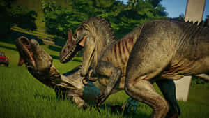 Allosaurus Hunting Behavior Wallpaper
