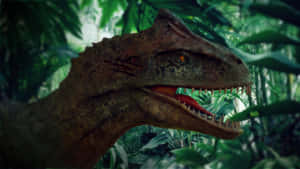 Allosaurus In Dense Jungle Wallpaper
