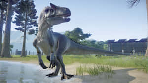 Allosaurus In Natural Habitat Wallpaper