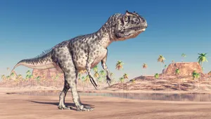 Allosaurus In Prehistoric Landscape Wallpaper