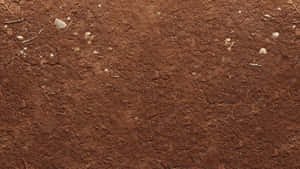 Alluring Brown Texture Background Wallpaper
