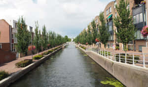 Almere Canal Residential Area Wallpaper