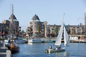 Almere Marina Sailing Activity Wallpaper