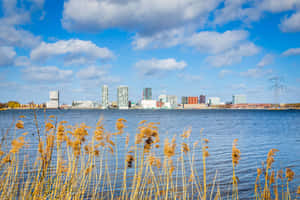 Almere Skyline Across Water Wallpaper