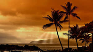 Aloha! Enjoy The Sunset In Hawaii – An Idyllic Paradise Wallpaper