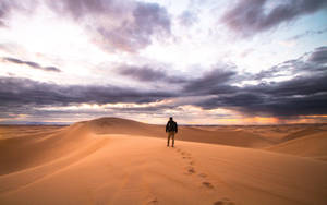 Alone Man In The Desert Wallpaper