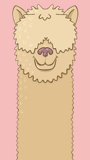 Alpaca Pink Background Art Wallpaper