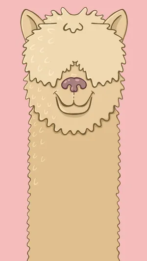 Alpaca Pink Background Art Wallpaper