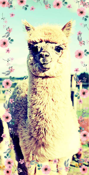 Alpaca With Flowers Wallpaper