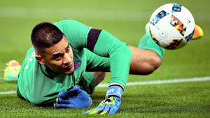 Alphonse Areola Lying On The Field Wallpaper