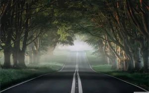 Amazing Journey - The Most Beautiful Road View Wallpaper