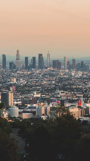Amazing Los Angeles Iphone Theme Wallpaper