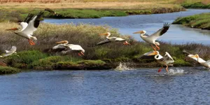 Amazing View Of A Beautiful California Island Wallpaper