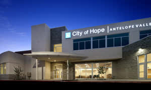 Ambulatory Structure Wallpaper