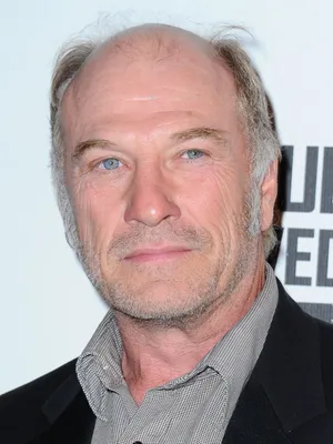 American Actor Ted Levine Wallpaper