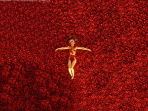 American Beauty Roses Woman Wallpaper