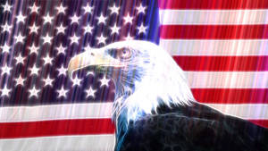 American Flag And Eagle Wallpaper