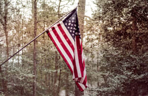 American Flag Forest Snowfall Wallpaper