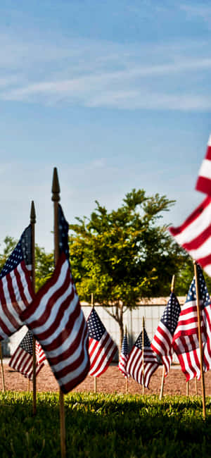 American Flags Memorial Display Wallpaper